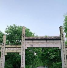 塔山森林公园3