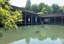 玉泉鱼跃7