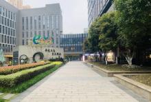 萧山信息港小镇4