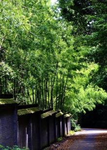 龙尾巴山塘水库1