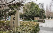 万向公园3