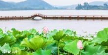 南北湖9