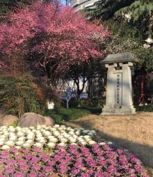 岳王公园3