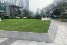 王道公园(临平)1