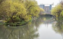 草庄公园6