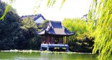 松鹤山庄2