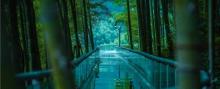星潮营地-竹尖上的漂流5