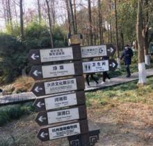 绿堤2
