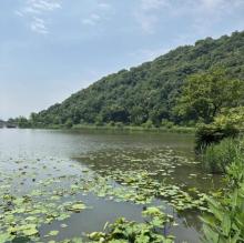 铜鉴湖公园3