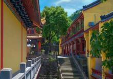 接龙寺5
