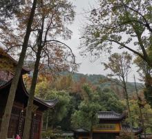 上香古道7