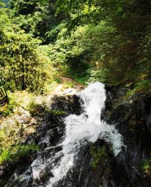 九咆界风景区7