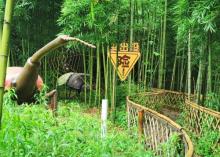 野古农园虫出没30