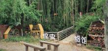 野古农园虫出没12