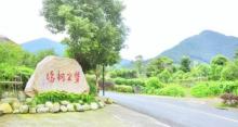 外桐坞村艺术小镇3