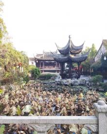 衣裳街8