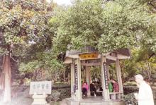 六公园11