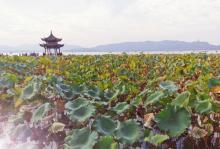 六公园7