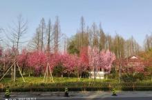 鹳山公园4