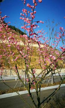 鹳山公园7