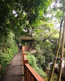 鹳山公园2