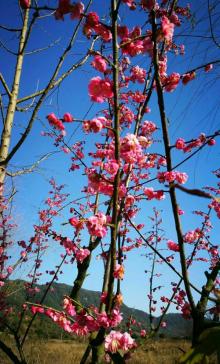 鹳山公园8