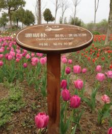白塔湖国家湿地公园29
