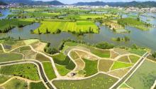 白塔湖国家湿地公园26