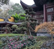 航坞公园9