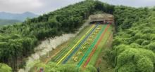 莫干山沈园户外拓展营地1