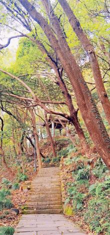 北山公园8