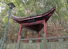 北山公园2