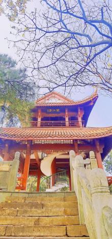 北山公园7
