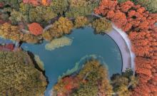 钱江新城森林公园1