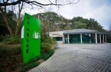 江洋畈生态公园6