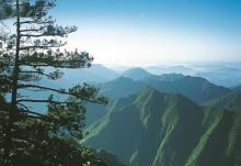 神龙川风景区28