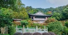 龙井问茶4