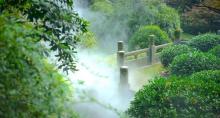 龙井问茶1