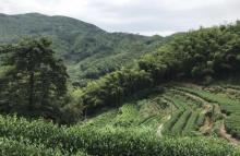 安顶山5