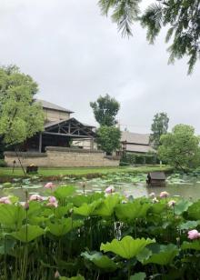 乌村20