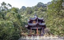 理安寺3