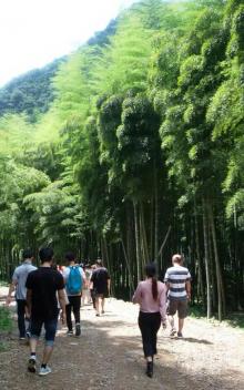 白水涧12