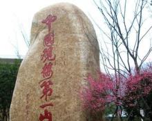 超山赏梅2