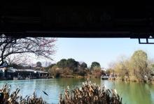 超山赏梅11