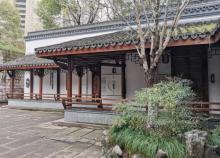 彭埠老街5