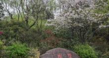 墅园4