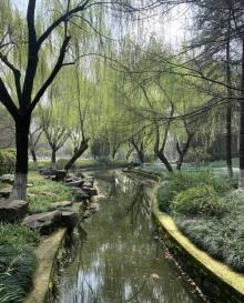 钱江世纪公园10