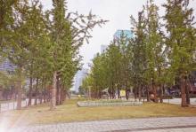 钱江世纪公园16
