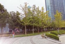 钱江世纪公园20