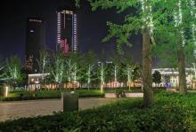 钱江世纪公园26